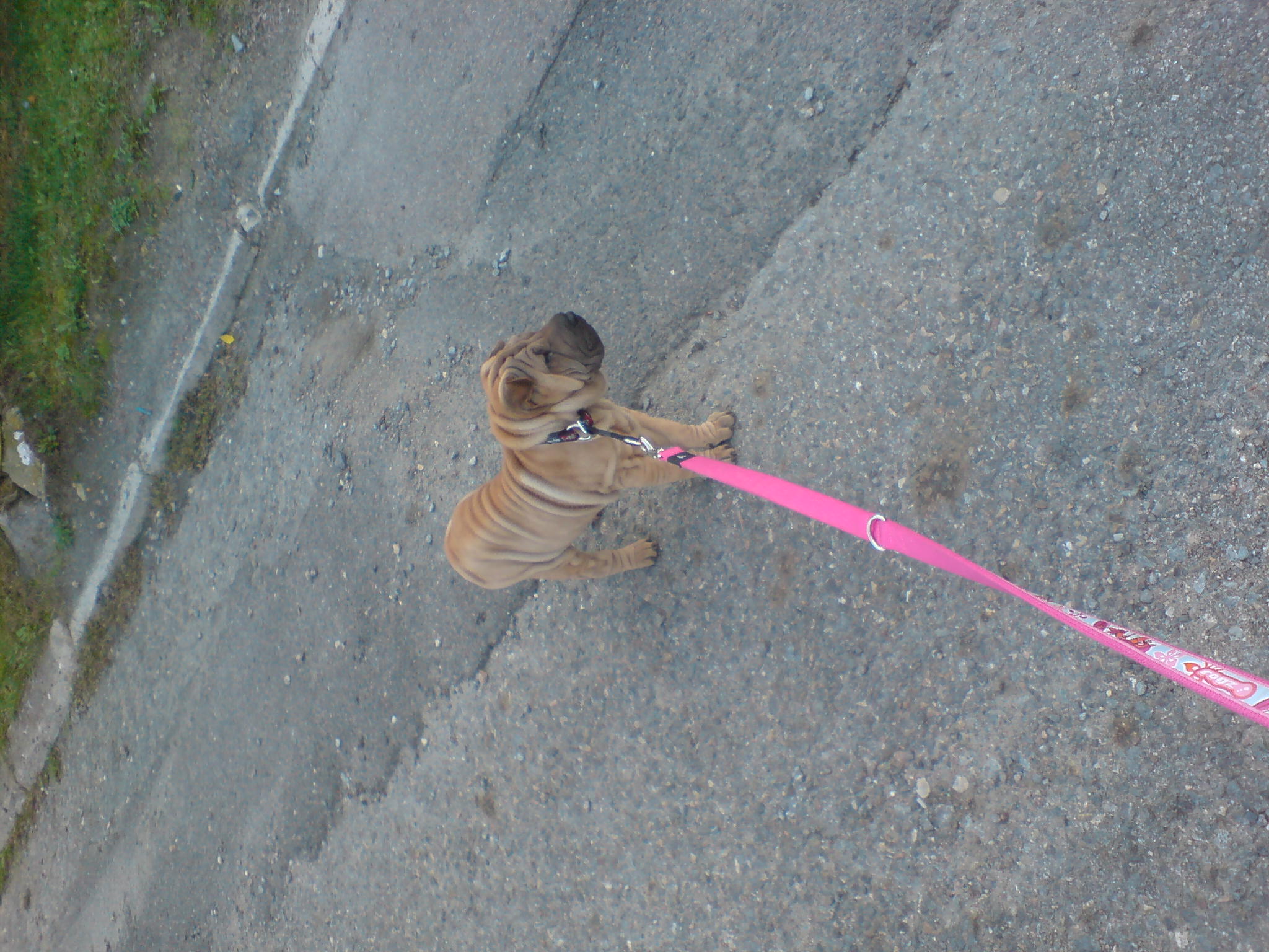 DSC00005.JPG